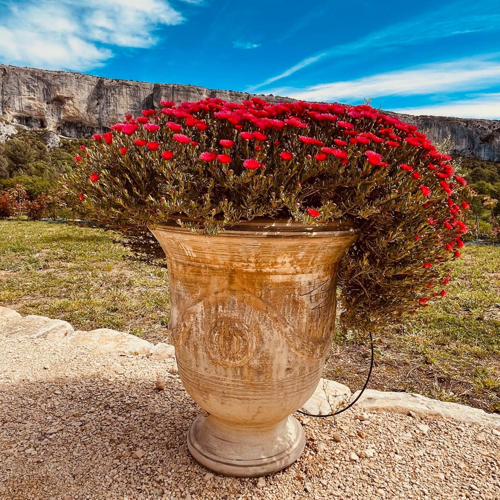 Gite La Madeleine Du Luberon. Lioux 外观 照片